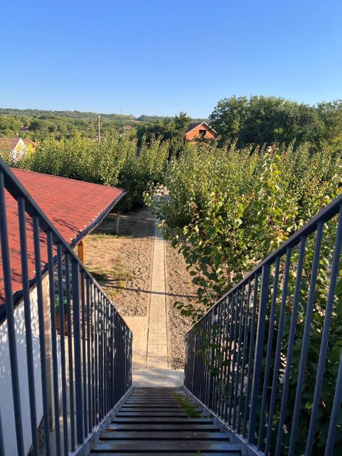 Къща За Гости Ненийски Lom Buitenkant foto